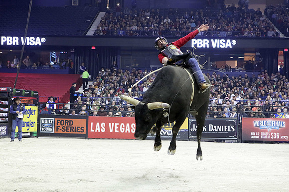 Rodeo, Bill Pickett and PBR Photography