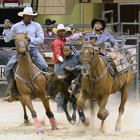 Rodeo, Bill Pickett and PBR Photography
